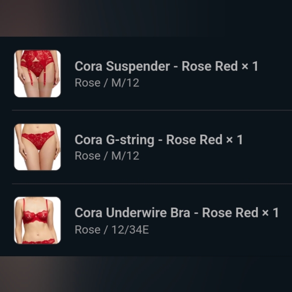 Dita Von Teese Boudoir Lingerie 3 Piece Set - Picture 5 of 5